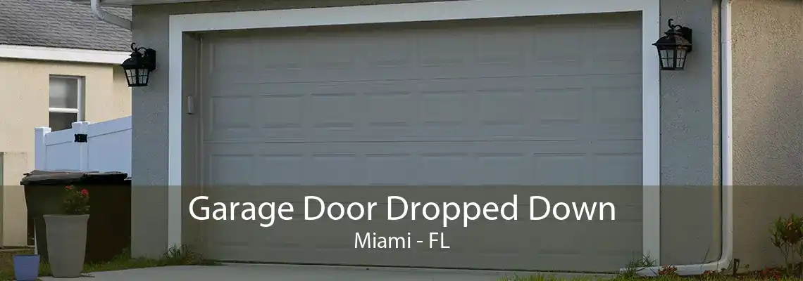 Garage Door Dropped Down Miami - FL