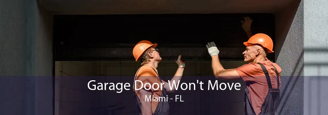 Garage Door Won't Move Miami - FL