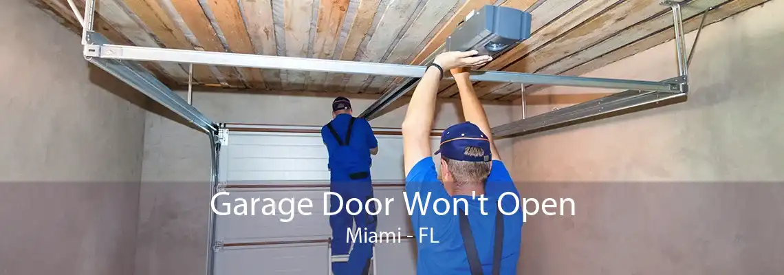 Garage Door Won't Open Miami - FL